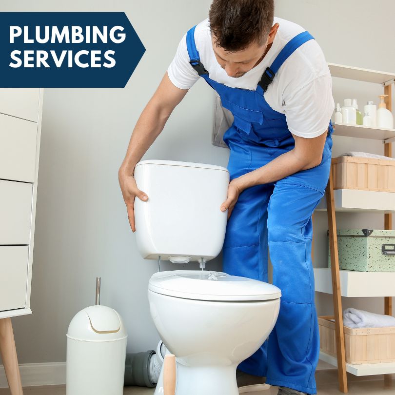 Plumbing Company in Glendale Heights, IL